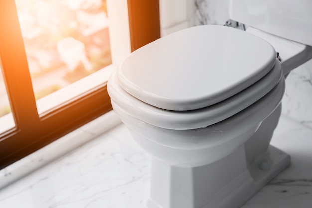 white marble interior restroom with closeup of water closet