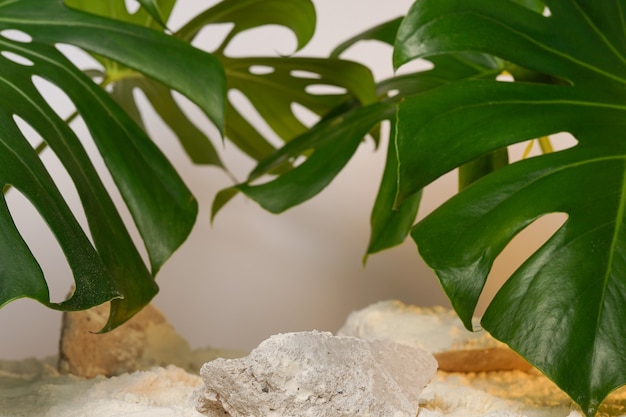 White marble product display podium with nature leaves.