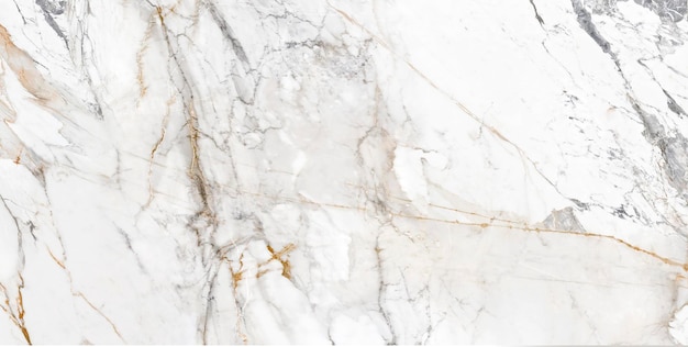 White marble with gray veins