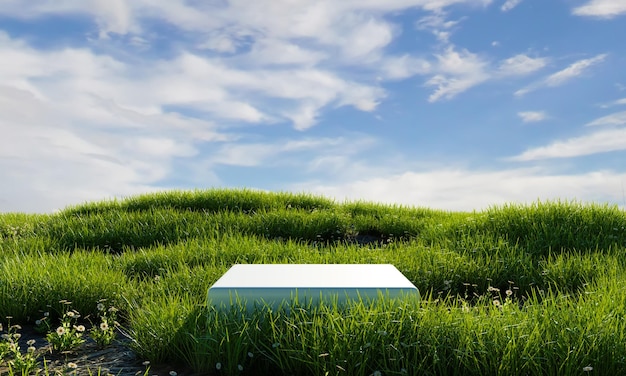 White minimal podium in green grassland with blue sky background Nature concept 3D illustration rendering