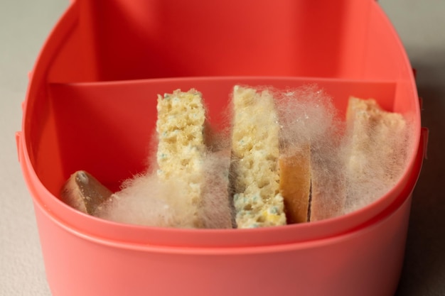 White mold on slices of bread and slices of sausage in pink lunch bokeh