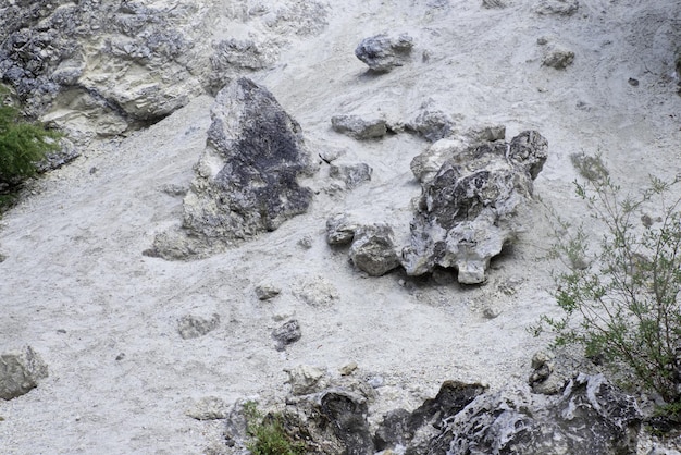 White Mountain texture marble quarry