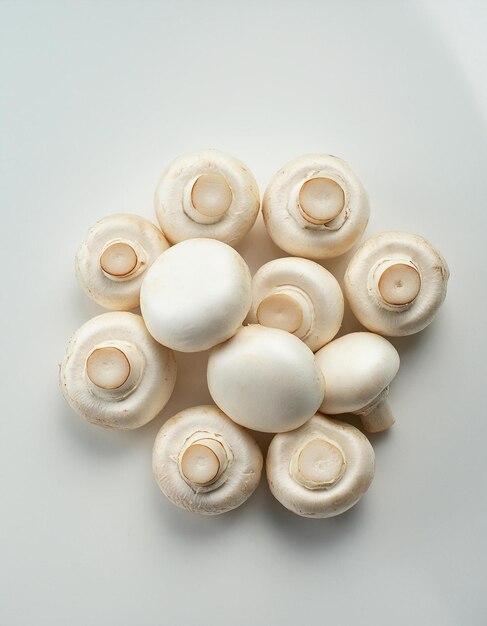 Photo white mushroom button on white background