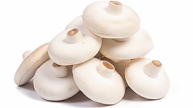 White Mushrooms mushrooms isolated on white background AI Generative