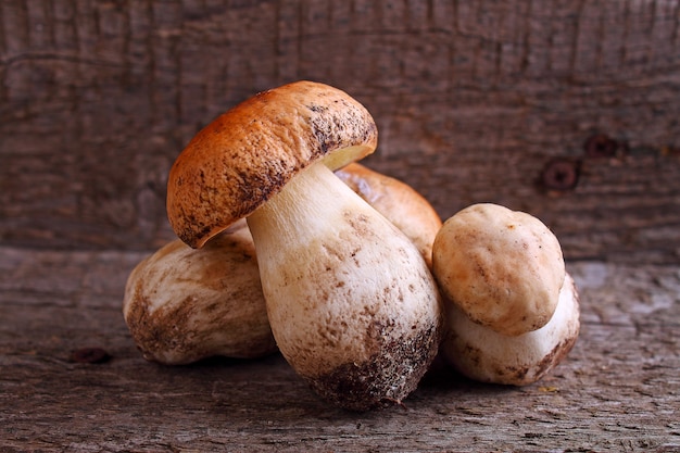 White mushrooms on a wooden background