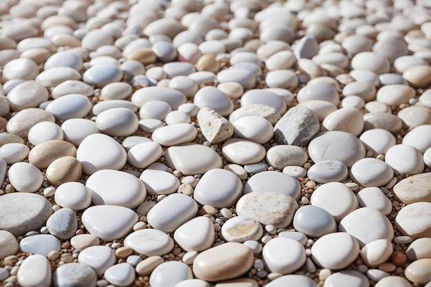 White natural pebble stone texture on the ground