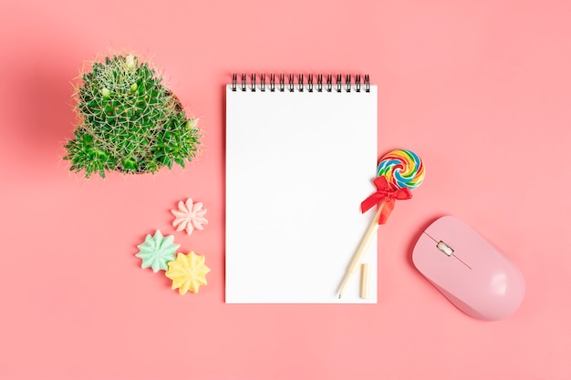 White notebook for notes, meringue, pen - lollipop, home flower succulent on pink background