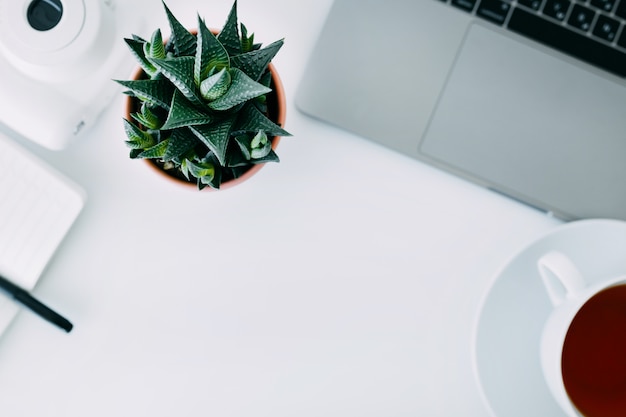 White office desk with laptop, office plant and notebook with pen, mini camera and cup of tea. Top view with copy space, flat lay