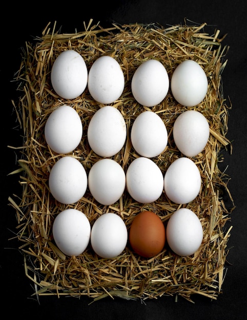 White and one brown raw farm chicken eggs lie on a black background