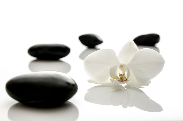 White orchid flower with spa stones. Shallow dof.