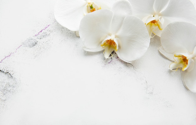 White orchid flowers on a white marble background