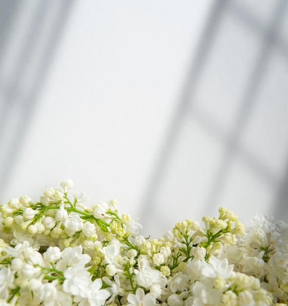 White paper background with white lilac flowers