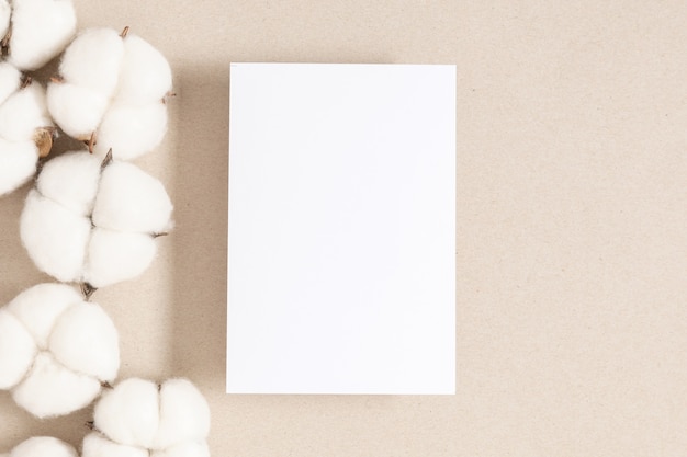 White paper empty blank cotton flowers