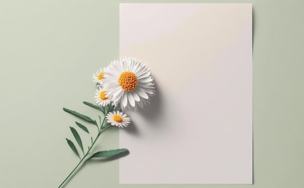 white paper on pastel background copy space with spring flowers, greeting card, invitation card