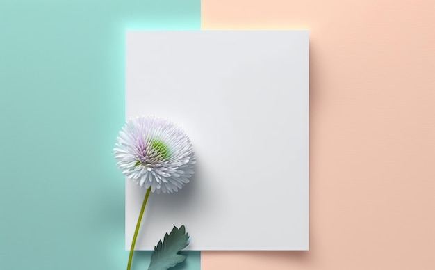 white paper on pastel background copy space with spring flowers, greeting card, invitation card