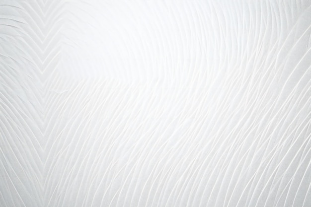 White paper texture background rough abstract textures