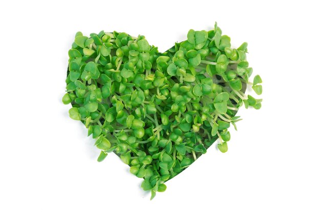 White paper with a hole in the form of heart from which the visible green shoots