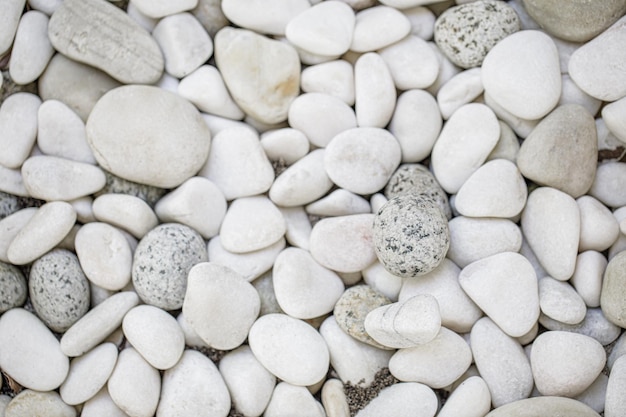 White pebbles background, simplicity, daylight, rounded stones. Natural bright pebbles stones, relax