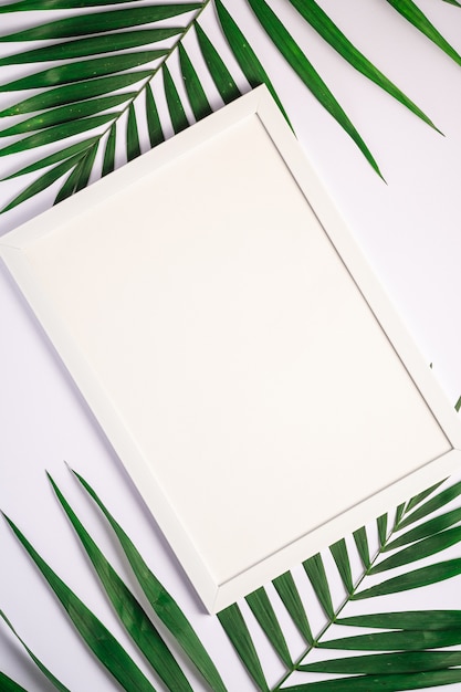 White picture frame with empty template on palm leaves, white background 