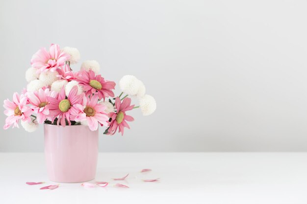 White and pink chrysanthemums in pink vase on white background