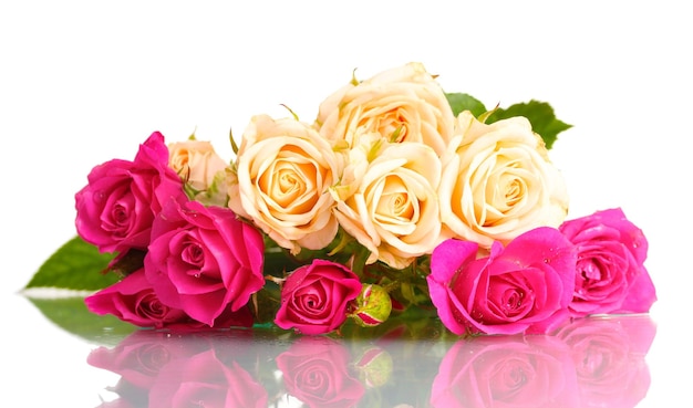 White and pink roses isolated on white