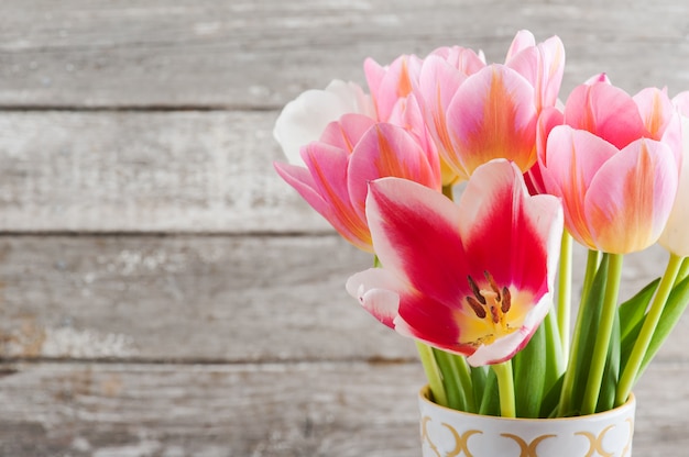 White and pink tulips plant