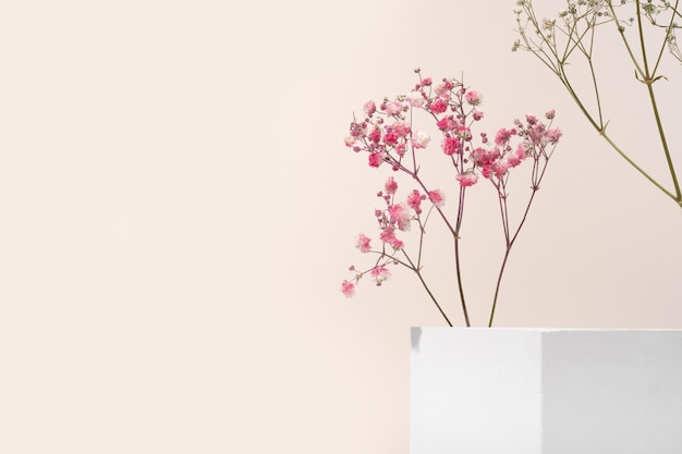 White porous gypsum cube for podium cosmetic products on a beige background with gypsophila flowers