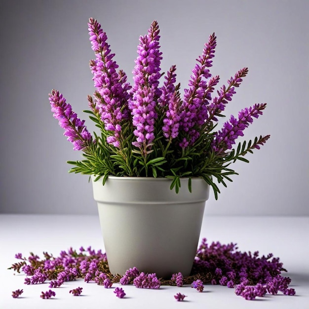 a white pot with purple flowers and green leaves on it