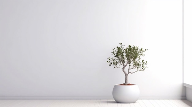 A white potted plant in a white room with a white wall behind it.