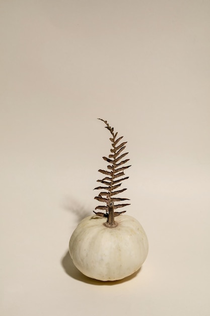 White pumpkin with autumn leaves