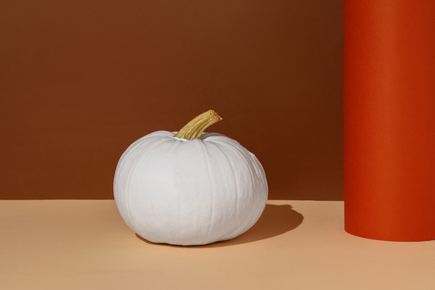 White pumpkin with brown background