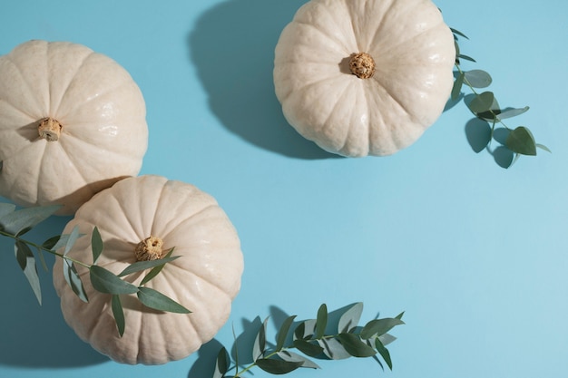 White pumpkins and blue background flat lay