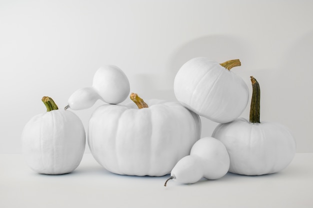 White pumpkins with white background