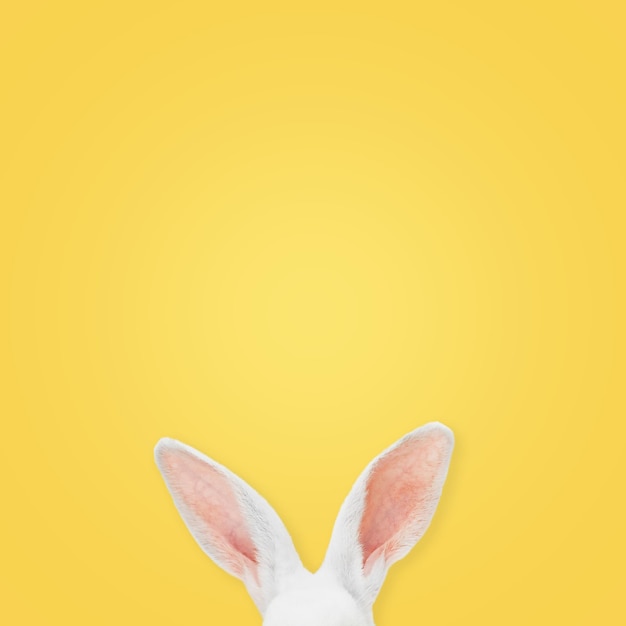 Photo white rabbit ears on a light yellow background with copy space easter minimalism