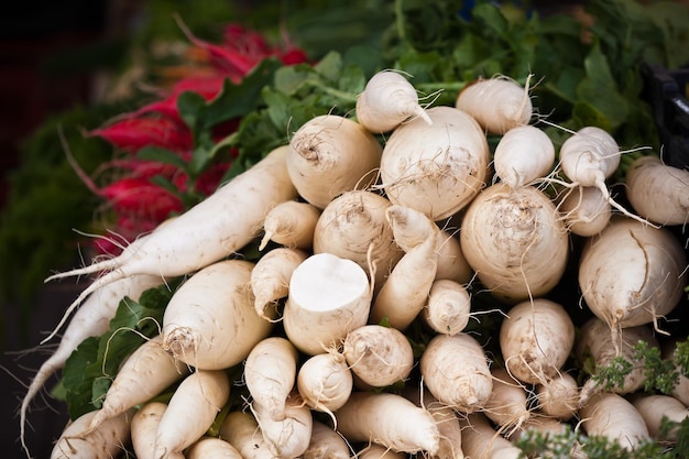 White radishes pile in a market