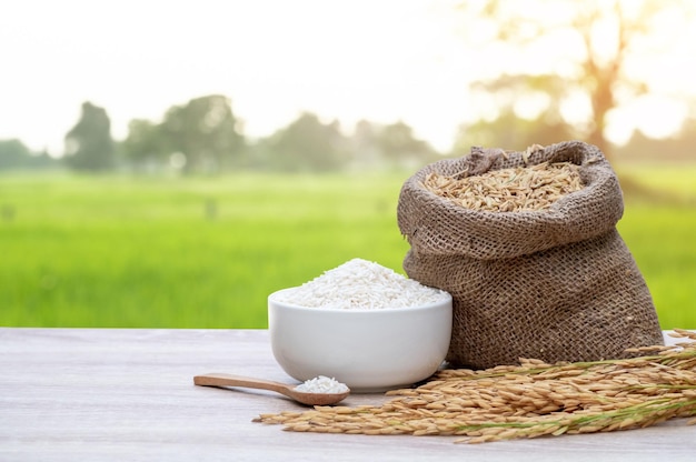 White rice grains in white bowls white rice grains in wooden spoons raw rice grains in hemp sacks and ears placed on modern wooden table and nature field sunlight in morning background thailand