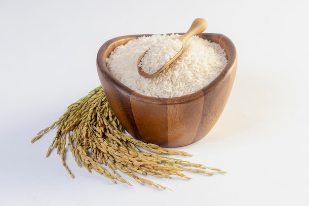 White rice Thai jasmine rice in a wooden bowl and ears of rice isolated on white background