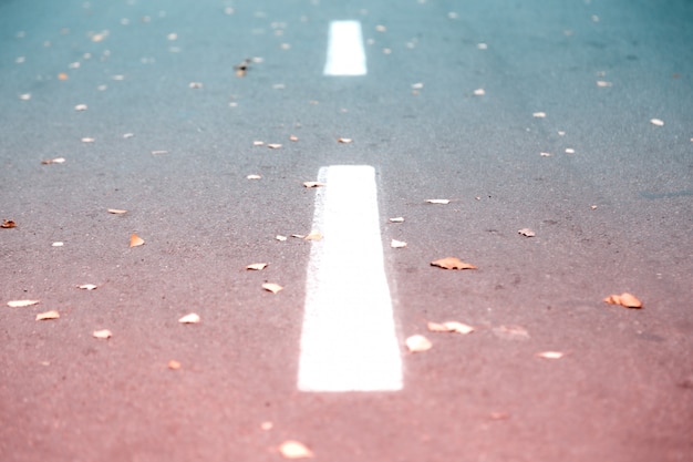 Photo white road strip marking on asphalt.