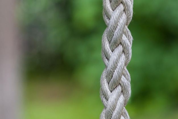 White rope on a green background