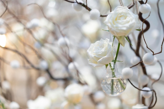 White rose background and backdrop in the decoration cozy branch and warm light