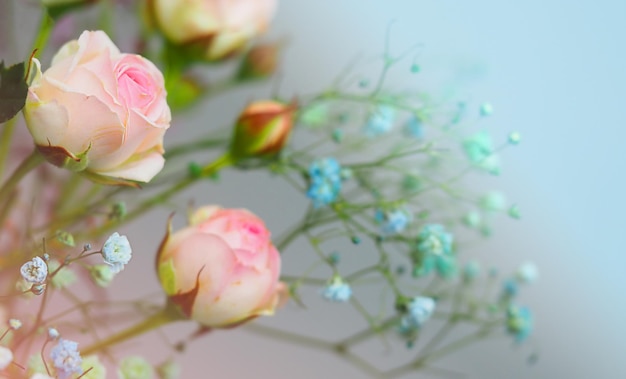 White roses and chrysanthemums on a white background. Bride's bouquet. background. Soft pastel colors. Background for postcards, invitations, and greetings.