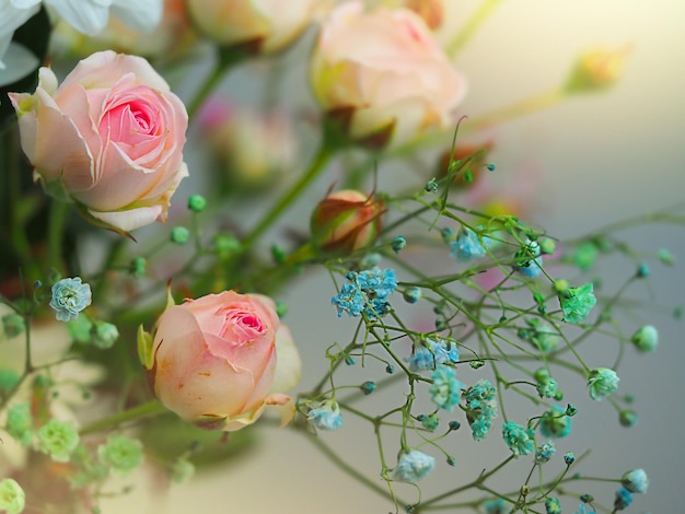 White roses and chrysanthemums on a white background. Bride's bouquet. background. Soft pastel colors. Background for postcards, invitations, and greetings.