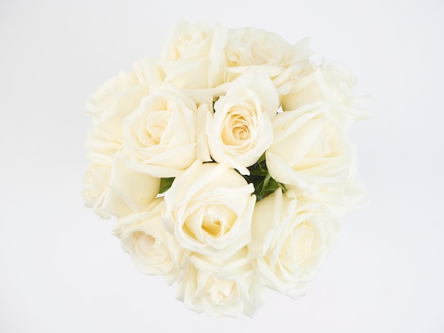 White roses flowers