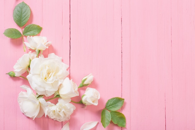 White roses on pink wooden background