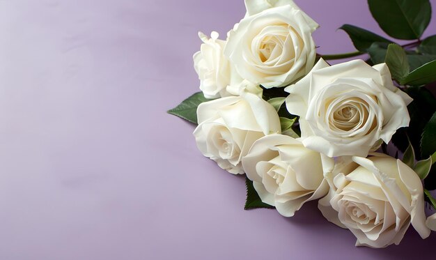 Photo white roses with empty space for text lavender background