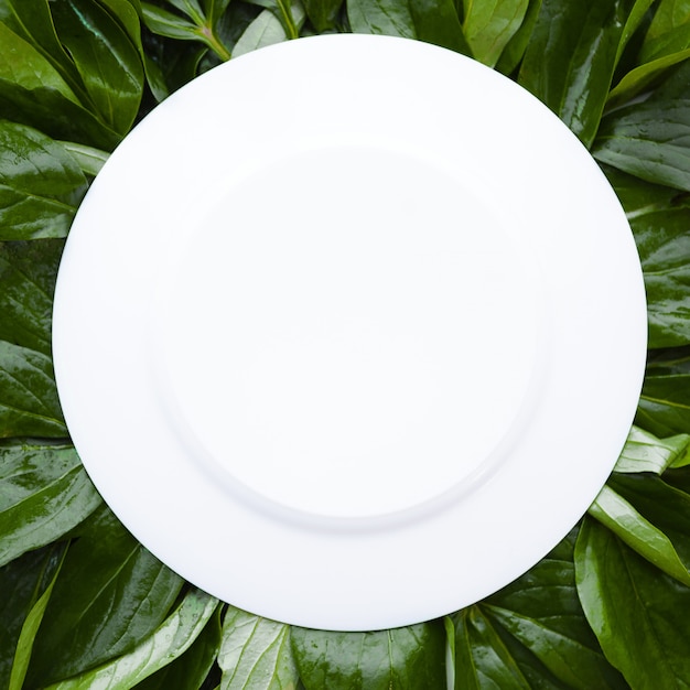 White round frame decorated with green leaves, empty space for text mock up