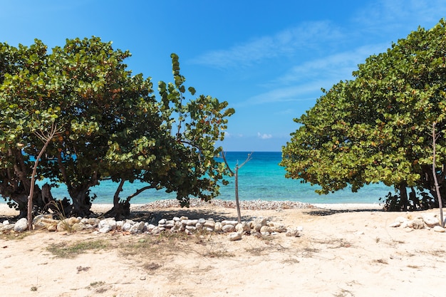 White sand beach in Cuba