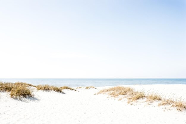 Photo white sand beach with blue sky