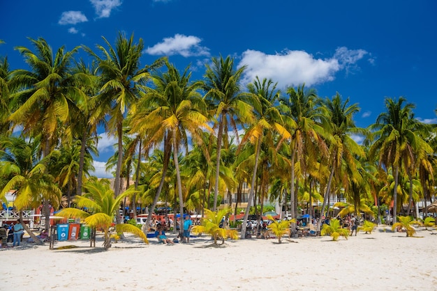 White sand beach with cocos palms Isla Mujeres island Caribbean Sea Cancun Yucatan Mexico