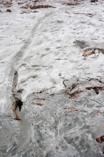 white sand on the beach